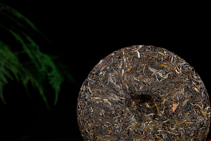 2018 Yunnan Sourcing "Nan Ban Qing Village" Raw Pu-erh Tea Cake | Yunnan Sourcing Tea Shop