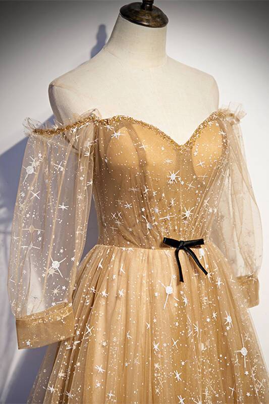 Long Sleeves Champagne Long Evening Dress