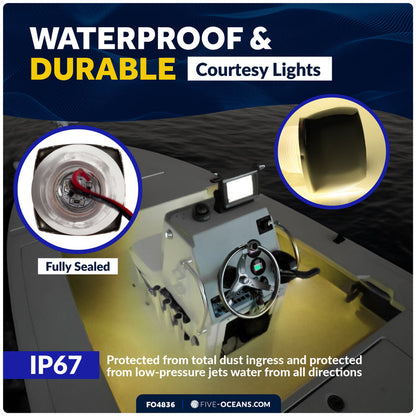 1-5/16" Square LED Thru-Hull Livewell / Courtesy Light, Warm White 16LM, 12V, 4-Pack - FO4836 - Five Oceans