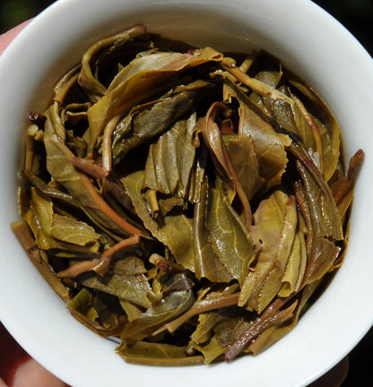 2011 Yunnan Sourcing "Autumn Xi Bang" Raw Pu-erh Tea Cake | Yunnan Sourcing Tea Shop