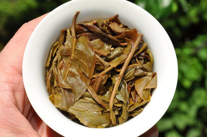 2012 Yunnan Sourcing "Chen Xiang" Aged Raw Pu-erh of Wu Liang Mountain