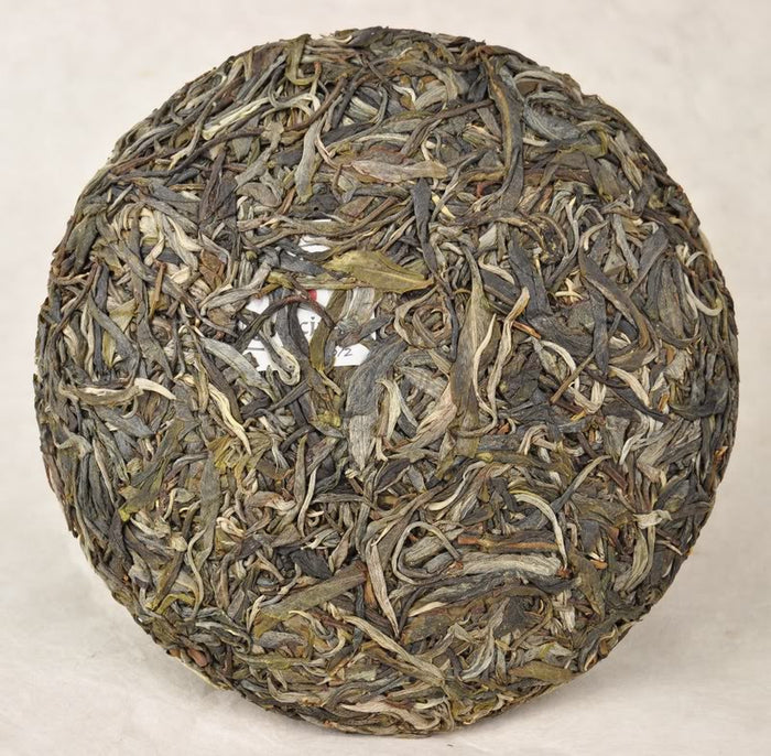 2012 Yunnan Sourcing "Jia Bu" Ancient Arbor Raw Pu-erh Tea Cake | Yunnan Sourcing Tea Shop
