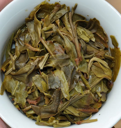 2012 Yunnan Sourcing "Mang Fei Mountain" Wild Arbor Raw Pu-erh Tea Cake | Yunnan Sourcing Tea Shop