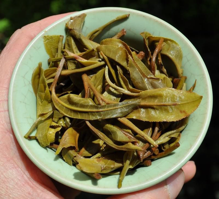 2012 Yunnan Sourcing "Xin Ban Zhang" Wild Arbor Raw Pu-erh Tea Cake | Yunnan Sourcing Tea Shop