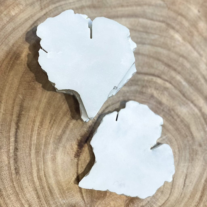 Michigan Coasters Silver