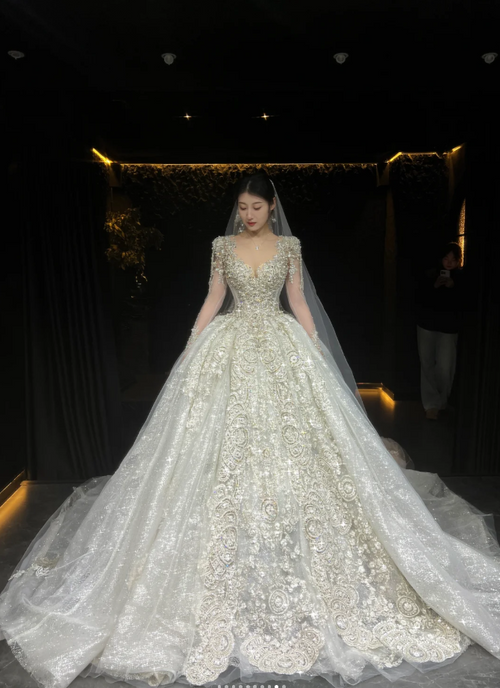 Chic A-Line Long Wedding Dresses Tulle White Bridal Dresses Beaded Long Sleeves Bridal Gown