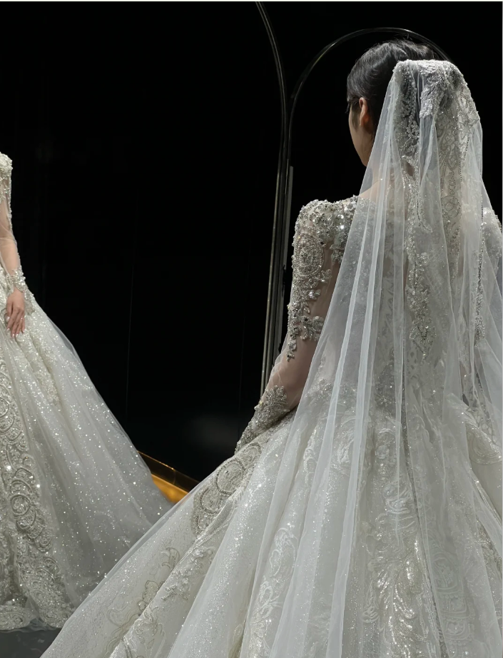 Chic A-Line Long Wedding Dresses Tulle White Bridal Dresses Beaded Long Sleeves Bridal Gown