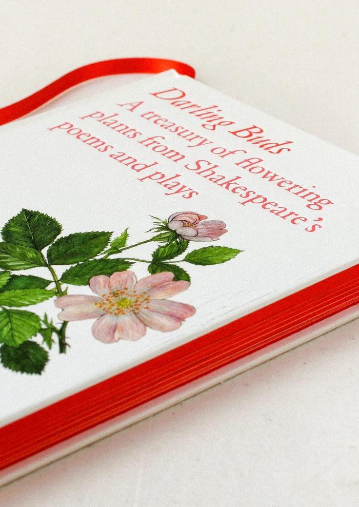 A book titled "Darling Buds" with red-edged pages.