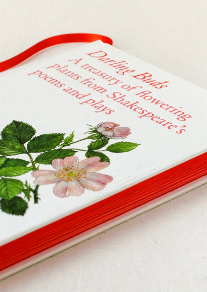 A book titled "Darling Buds" with red-edged pages.