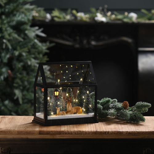 Festive Lit Glass House with Reindeer and Trees