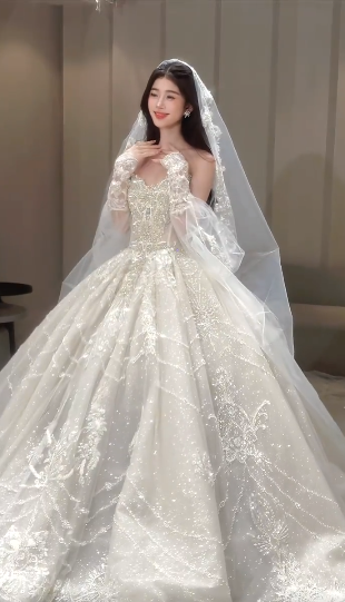 Gorgeous Ball Gown Strapless Tulle Sequin Beaded With Veil Gloves Long Wedding Dresses