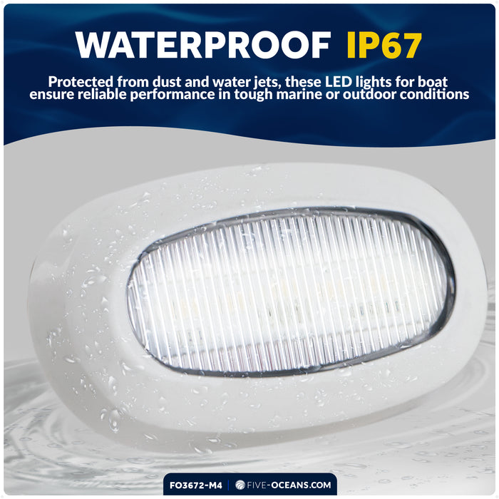 Oval LED Surface-Mount Courtesy / Accent Light, Cool White, 12V, 4-Pack - FO3672-M4 - Five Oceans