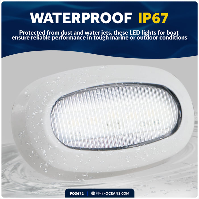 Oval LED Surface-Mount Courtesy / Accent Light, Cool White, 12V - FO3672 - Five Oceans