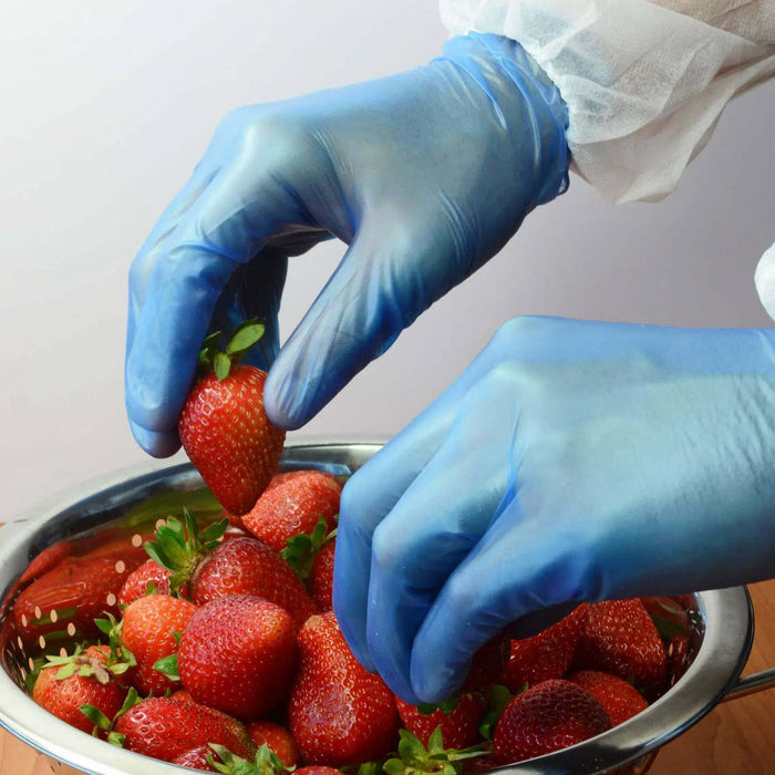 Proval Eco Blue PF Vinyl Disposable Glove