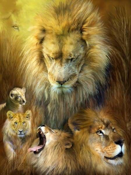 Lion Diamond Painting Kit - Seasons Of The Lion-Square 15x20cm- - Paint With Diamonds