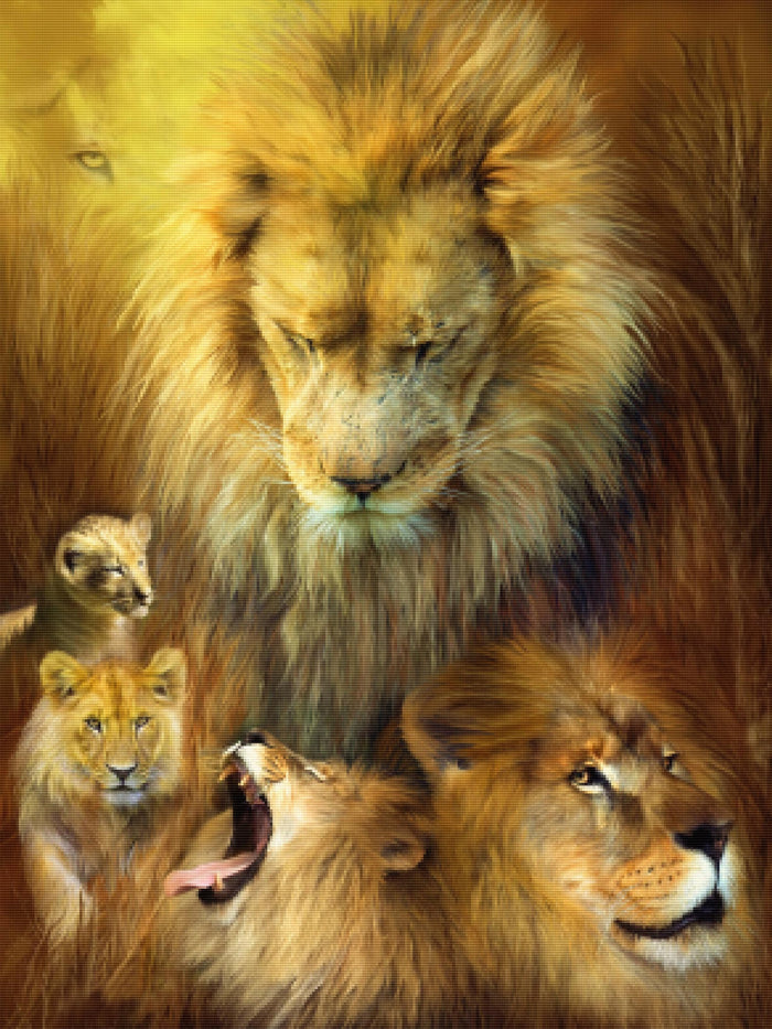 Seasons Of The Lion