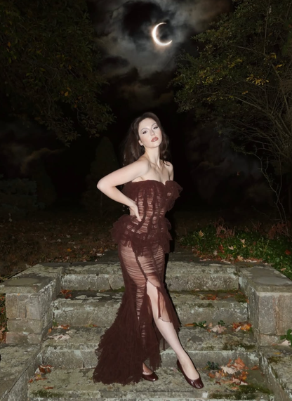 Sexy Brown Sheath Sweetheart Neck Layered Tulle Long Prom Dress