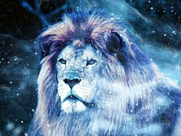 Lion Diamond Painting Kit - Starry Stardust Lion-Square 15x20cm- - Paint With Diamonds