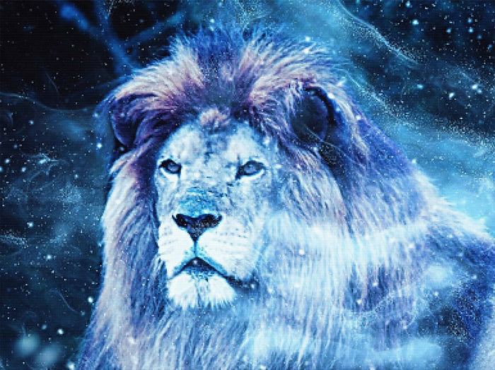 Starry Stardust Lion