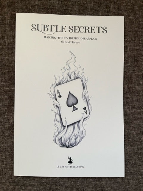 Subtle Secrets Series: Making The Evidence Disappear - Thibault Ternon