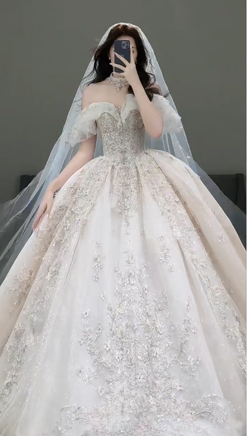 Timeless Off-the-shoulder Ball Gown Glitter Tulle Long Wedding Dresses, White Bridal Gowns, Appliqu¨¦ Bridal Dresses