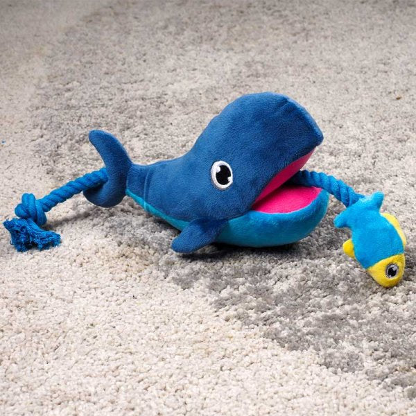 Whale Tugga Fish