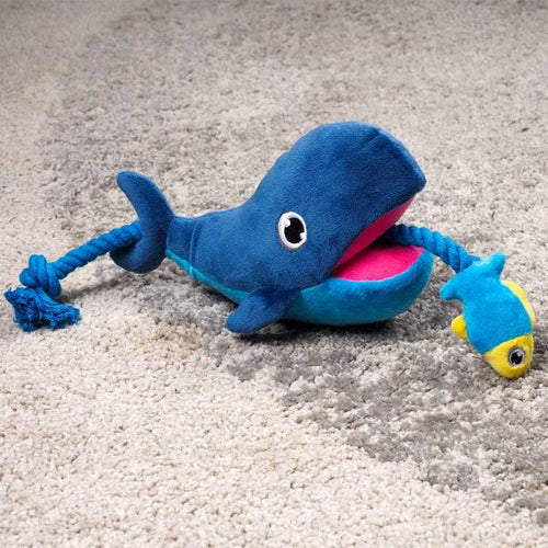 Whale Tugga Fish