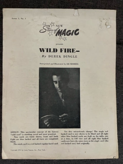 Wild Fire (New Stars of Magic Series 1, #1) - Derek Dingle